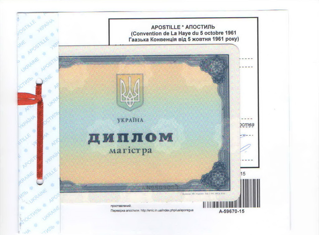 диплом нового образца